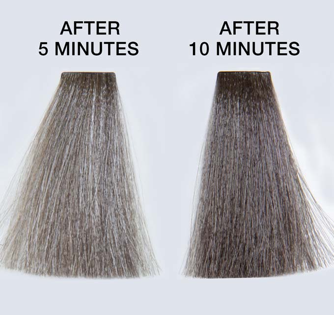 Hair & Beard Color Kit