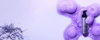 Purple product bottle surrounded by lavender bubbles
