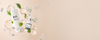 Pastel Purify products in a botanical beige banner